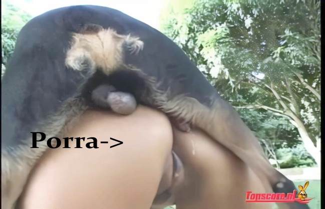 DVDs zoofilia sexo bizarro animal sexo tubo alisonprod Cachorro lambendo buceta molhada Cavalo gozando dentro da buceta de uma loira cavala