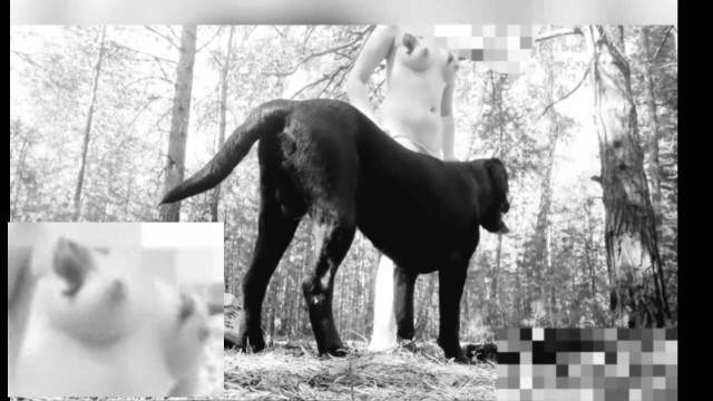 Filmes para Download pinto de cavalo cabeluda pornografia animal Vídeo de sexo bestial grátis Lise private club animalsex animalsex