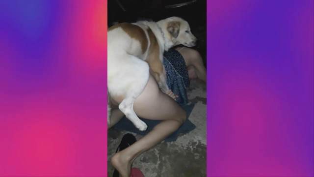 zoofilia xoxota dogbond cachorro comendo buceta Assista pornografia de bestialidade gratuita cavalo mete com força na buceta art of zoo