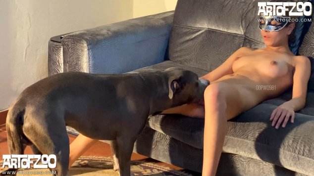 Filmes para Download peluda  sexo com animais DVDs melhores filmes de bestialidade de todos os tempos sexo com cavalos e uma MILF cachorro de pau duro Assista pornografia de bestialidade gratuita