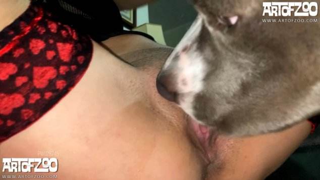 Filmes para Download peluda  sexo com animais DVDs animal sexo tubo Raven having sex with Dog Mad GloryQuest Japones sexo com cachorro Filmes Pornô Com Cachorros - Zoofilia Amadora