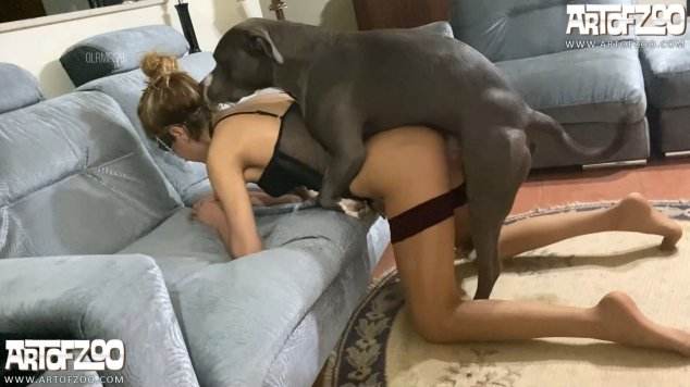 Filmes para Download peluda  sexo com animais DVDs Filme pornô de zoofilia com uma mulher indiana porco comendo a buceta animal sexo tubo vídeos pornôs de animais grátis