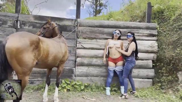 fodas com animais dogbond peluda  sexo com animais filmes zoofiliade  brasileirinhas cavalo gozando na buceta animal sexo tubo Mulher batendo punheta pro cachorro