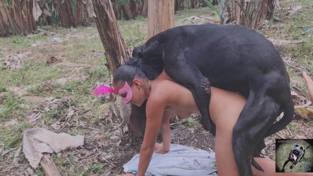 cachorro gozando dogbond fodas com animais Andy Private Caledonian ,ZOOdelight ,Zooskool ZOOSEX Cachorro dá um nó na buceta da e engata o pinto até gozar Cachorro arrombando buceta da dona mulher chupando a pica do cachorro