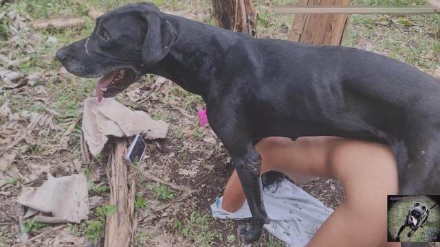 cachorro gozando dogbond fodas com animais pornografia animal Cachorro comendo e gozando no cu da casada bunduda Filme pornô de zoofilia com uma mulher indiana ZOO pornô com animais. vídeos gratuitos de bestialidade