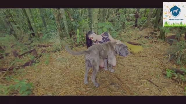 xoxota fodas com animais cabeluda cavalo gozando na buceta Zoofilia com uma loira gostosa Cachorro comendo e gozando no cu da casada bunduda novinha gostosa brasileira dando a sua buceta para o cavalo