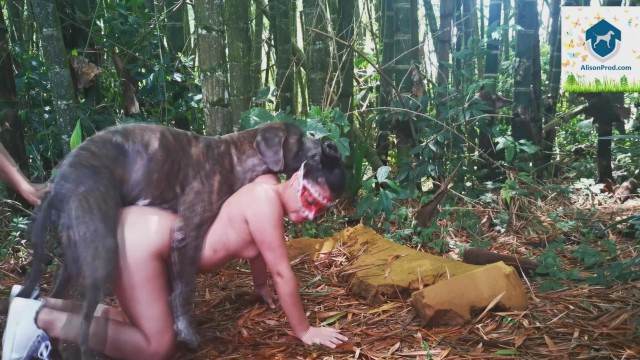 xoxota fodas com animais cabeluda Nova tomando uma rolada de porco na vagina mulher de quatro pro cachorro Mulher batendo punheta pro cachorro art of zoo