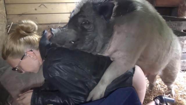 cachorro gozando cabeluda sexo bizarro cavalo gozando na mulher Cavalo gozando dentro da buceta de uma loira cavala animalsex cachorro comendo buceta