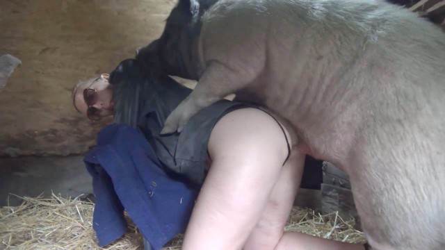cachorro gozando cabeluda sexo bizarro site de tubo de sexo zoo animal filmes zoofiliade  brasileirinhas Filme pornô com um enorme pau de cavalo Zoosection