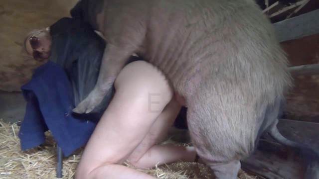 cachorro gozando cabeluda sexo bizarro cachorro de pau duro Porco Comendo Cuzinho De Mulher Quarentona mulher de quatro no chiqueiro dando para um porco cavalo gozando na mulher