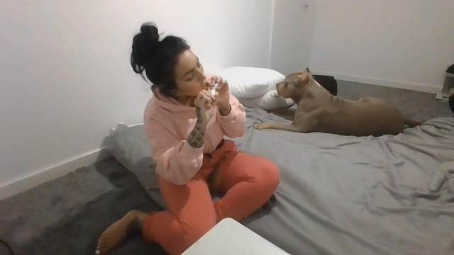 cachorro gozando cabeluda pinto de cavalo mulher de quatro pro cachorro melhores filmes de bestialidade de todos os tempos Cavalo de Pau Molhado e Mulher Chupando Porno Bizarro - Sexo Gratis