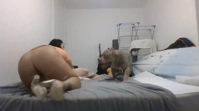 cachorro gozando cabeluda pinto de cavalo Pornô de cavalo gozando dentro de mulher Porco comendo a bucetona da putona com tesão Vídeo de sexo bestial grátis pornô zoofilia com oral