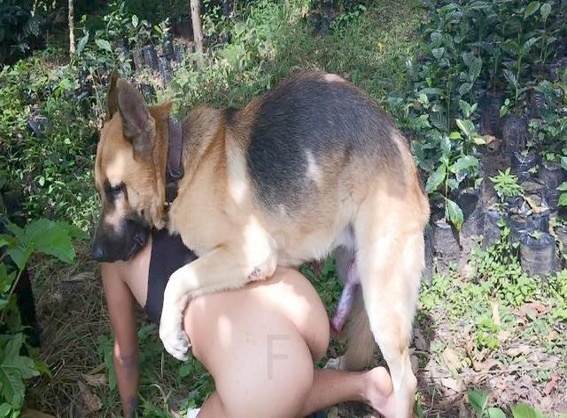 zoofilia xoxota Filmes para Download Lise private club animalsex cachorro de pau duro cavalo mete com força na buceta Puta transando com um cavalo em pé