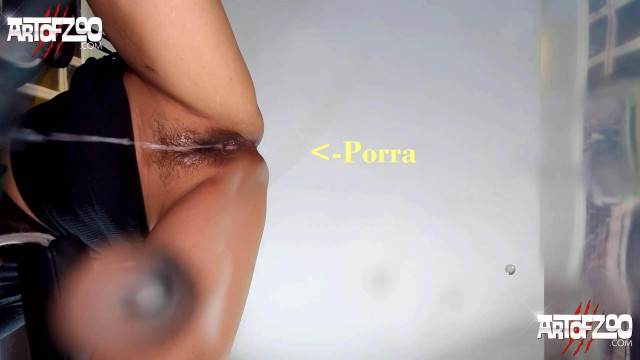 pinto de cavalo DVDs fodas com animais pornô zoofilia com oral Porno Bizarro - Sexo Gratis k9lady O javali gozador na buceta da garota nova