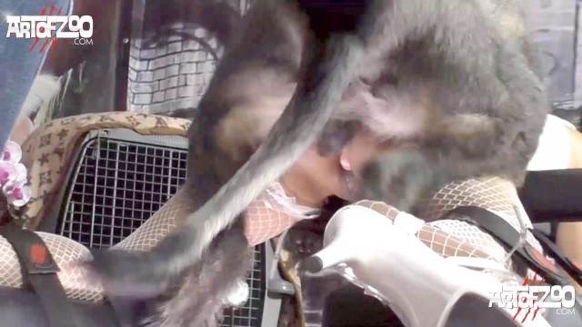 pinto de cavalo DVDs fodas com animais Mulher Negra chupando pica de cavalo Cachorro comendo e gozando no cu da casada bunduda Porco Comendo Cuzinho De Mulher Quarentona Raven having sex with Dog
