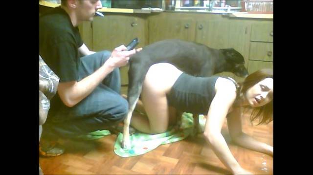 DVDs zoofilia sexo bizarro Cachorro comendo o Cu da empregada Filmes Pornô Com Cachorros - Zoofilia Amadora Filme pornô com um enorme pau de cavalo Mia, Triana, Zaina, Valeria, Shantal, Lady Zoe, Andy, Xiomara Zoofilia