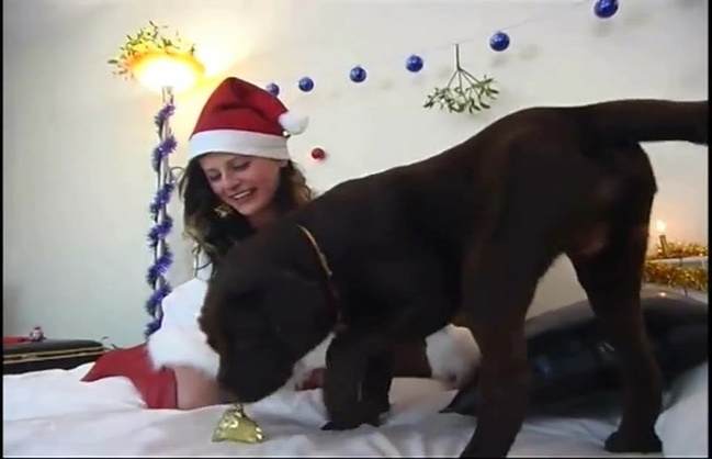 cachorro gozando DVDs sexo bizarro k9lady Cavalo gozando dentro da buceta de uma loira cavala animal sexo tubo cachorro comendo buceta