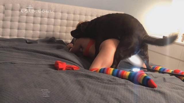 sexo bizarro peluda  sexo com animais pinto de cavalo Mulher trepando com cavalão enquanto marido cornao assiste Pornô de cavalo gozando dentro de mulher k9lady cachorro caralhudo comendo a buceta de loira