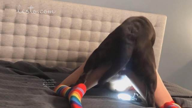 sexo bizarro peluda  sexo com animais pinto de cavalo Cavalo de Pau Molhado e Mulher Chupando Raven having sex with Dog Mulher latina fazendo sexo com cavalo Filme pornô com um enorme pau de cavalo