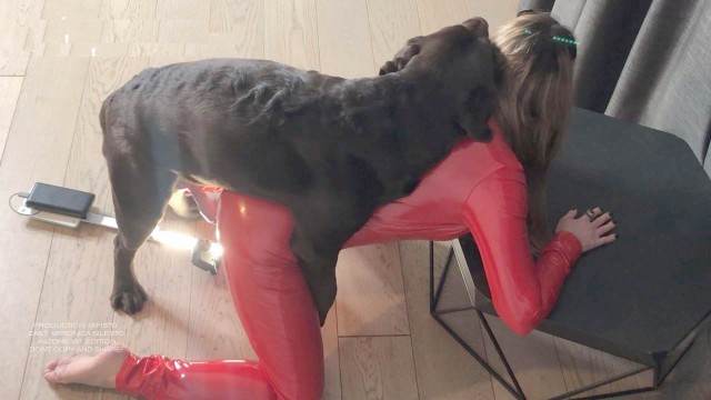 pinto de cavalo cabeluda xoxota Pornô de cavalo gozando dentro de mulher O javali gozador na buceta da garota nova Zoofilia com uma loira gostosa Mulher batendo punheta pro cachorro