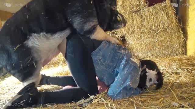 Filmes para Download xoxota fodas com animais Mia, Triana, Zaina, Valeria, Shantal, Lady Zoe, Andy, Xiomara Zoofilia Raven having sex with Dog animal sexo tubo k9lady