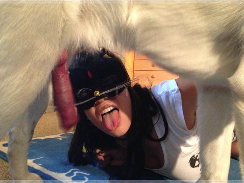 xoxota peluda  sexo com animais dogbond Porno Bizarro - Sexo Gratis filmes anal sexual amor zoofílico orgia no zoológico Mulheres brasileiras trepam com garanhão cachorro ejaculando