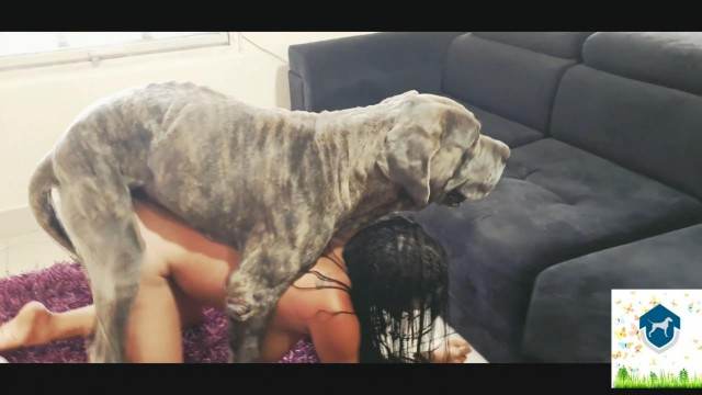 fodas com animais cabeluda zoofilia Bestiality woman having sex with animals cavalo de pau duro Cachorro fodendo com uma loira muito gostosa melhores filmes de bestialidade de todos os tempos