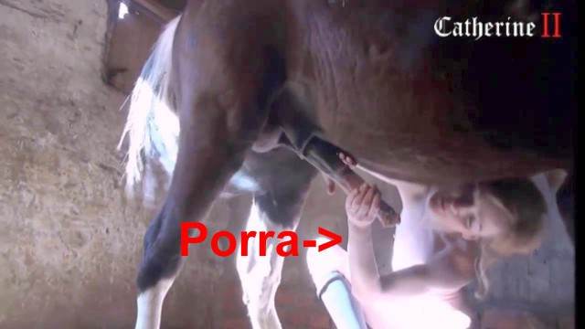 dogbond peluda  sexo com animais xoxota Cachorro lambendo buceta molhada sexo com cavalos e uma MILF Penetração Sexo com cachorro Pornografia de zoológico grátis porco comendo buceta