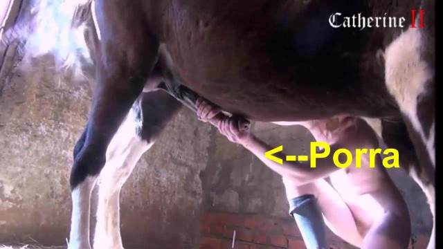 dogbond peluda  sexo com animais xoxota Filmes Pornô Com Cachorros - Zoofilia Amadora Porno Bizarro - Sexo Gratis mulher de quatro pro cachorro porco comendo buceta