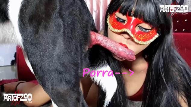 sexo bizarro cachorro gozando xoxota Cachorro dá um nó na buceta da e engata o pinto até gozar Raven having sex with Dog Cachorro comendo o Cu da empregada O javali gozador na buceta da garota nova