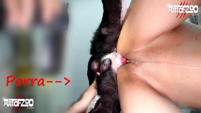 sexo bizarro cachorro gozando xoxota mulher de quatro no chiqueiro dando para um porco filmes zoofiliade  brasileirinhas Bestiality woman having sex with animals Mulheres brasileiras trepam com garanhão