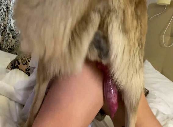 Filmes para Download zoofilia sexo bizarro pornô zoofilia com oral zoofilia selvagem Mulher Negra chupando pica de cavalo Raven, DogWoman, Alison, Yasmin, Gisele, Vixen, Cupcake, Lise, Sonia Zoofilia