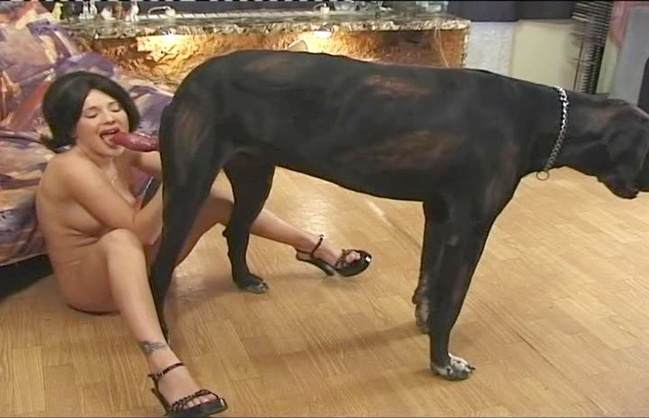 peluda  sexo com animais xoxota zoofilia porco comendo buceta Raven, DogWoman, Alison, Yasmin, Gisele, Vixen, Cupcake, Lise, Sonia Zoofilia Bestiality woman having sex with animals Mulher latina fazendo sexo com cavalo