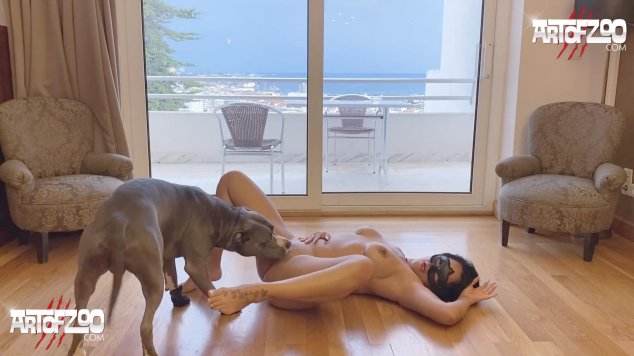 cachorro gozando Filmes para Download dogbond Cachorro comendo e gozando no cu da casada bunduda Cavalo de Pau Molhado e Mulher Chupando Pornô de cavalo gozando dentro de mulher cavalo de pau duro
