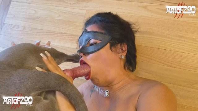cachorro gozando Filmes para Download dogbond Seamless Cachorro comendo o Cu da empregada Mulher batendo punheta pro cachorro mulher de quatro pro cachorro