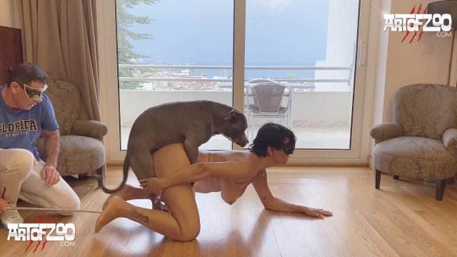 cachorro gozando Filmes para Download dogbond art of zoo sexo com cavalos e uma MILF cavalo de pau duro pornô zoofilia com oral