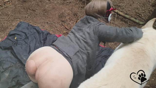 pinto de cavalo cachorro gozando sexo bizarro Mulher Negra chupando pica de cavalo art of zoo ZOO pornô com animais. vídeos gratuitos de bestialidade vídeos pornôs de animais grátis