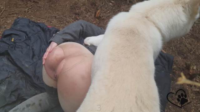 pinto de cavalo cachorro gozando sexo bizarro porco comendo a buceta filmes anal sexual amor zoofílico orgia no zoológico Filme pornô de zoofilia com uma mulher indiana Vídeos porno de zoofilia con perros y caballos que follan a las chicas zoofílicas