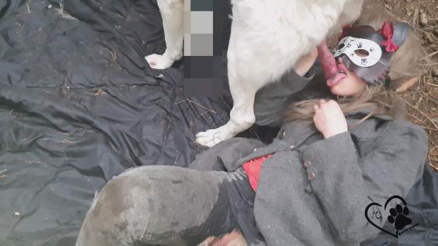 pinto de cavalo cachorro gozando sexo bizarro k9lady filmes anal sexual amor zoofílico orgia no zoológico Assista pornografia de bestialidade gratuita cachorro ejaculando