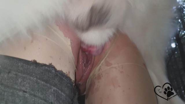 pinto de cavalo cachorro gozando sexo bizarro Seamless Filme pornô de zoofilia com uma mulher indiana Mulher Negra chupando pica de cavalo Penetração Sexo com cachorro Pornografia de zoológico grátis