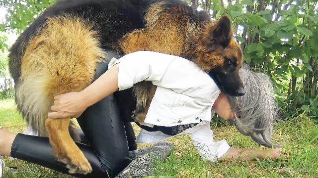 DVDs fodas com animais cabeluda Vídeo de sexo bestial grátis k9lady Cachorro dá um nó na buceta da e engata o pinto até gozar Mulher batendo punheta pro cachorro