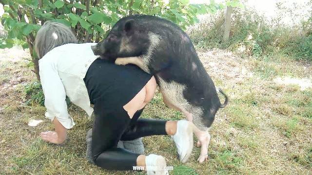 DVDs fodas com animais cabeluda Filmes Pornô Com Cachorros - Zoofilia Amadora Cachorro lambendo buceta molhada Mulher trepando com cavalão enquanto marido cornao assiste Mulher Transando Com Cachorro