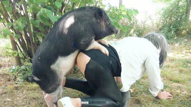 DVDs fodas com animais cabeluda Mulher Transando Com Cachorro Porno Bizarro - Sexo Gratis Filme pornô com um enorme pau de cavalo Filme pornô de zoofilia com uma mulher indiana
