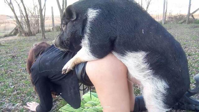 dogbond sexo bizarro Filmes para Download cachorro comendo buceta cachorro de pau duro Raven, DogWoman, Alison, Yasmin, Gisele, Vixen, Cupcake, Lise, Sonia Zoofilia site de tubo de sexo zoo animal