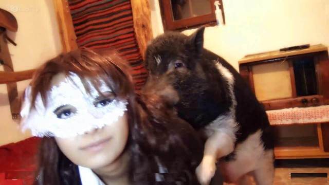 dogbond sexo bizarro Filmes para Download alisonprod Vídeos porno de zoofilia con perros y caballos que follan a las chicas zoofílicas mulher de quatro no chiqueiro dando para um porco mulher de quatro pro cachorro