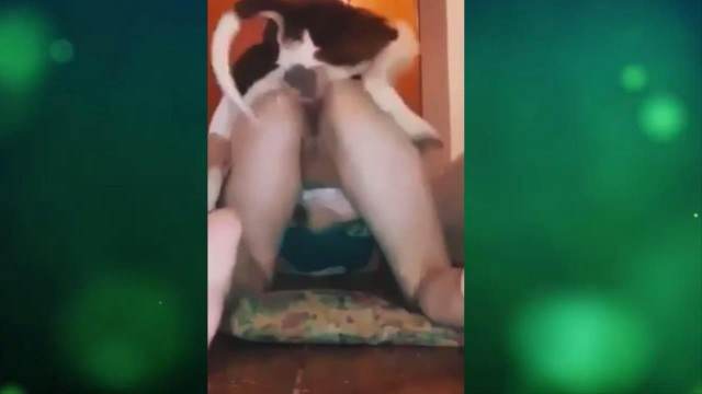 zoofilia dogbond xoxota Vídeo de sexo bestial grátis Mia, Triana, Zaina, Valeria, Shantal, Lady Zoe, Andy, Xiomara Zoofilia Assista pornografia de bestialidade gratuita Pornô de cavalo gozando dentro de mulher