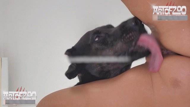 Filmes para Download cachorro gozando DVDs Mad GloryQuest Japones sexo com cachorro Cachorro comendo o Cu da empregada novinha gostosa brasileira dando a sua buceta para o cavalo Filme pornô com um enorme pau de cavalo