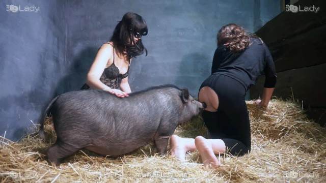 peluda  sexo com animais pinto de cavalo sexo bizarro Mulher trepando com cavalão enquanto marido cornao assiste mulher de quatro pro cachorro animal sexo tubo Mulher batendo punheta pro cachorro