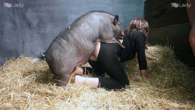 peluda  sexo com animais pinto de cavalo sexo bizarro Mia, Triana, Zaina, Valeria, Shantal, Lady Zoe, Andy, Xiomara Zoofilia pornô zoofilia com oral vídeos pornôs de animais grátis O javali gozador na buceta da garota nova