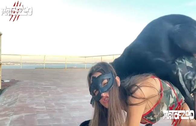 pinto de cavalo sexo bizarro dogbond vídeos pornôs de animais grátis porco comendo a buceta sexo bizarro Vídeos porno de zoofilia con perros y caballos que follan a las chicas zoofílicas